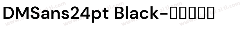 DMSans24pt Black字体转换